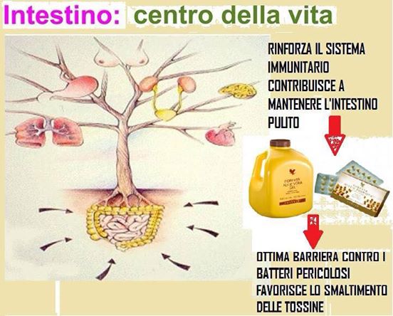 Le emorroidi di fotografia come conservarsi